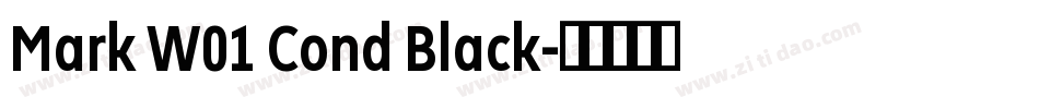 Mark W01 Cond Black字体转换